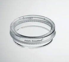 德國(guó)艾本德(Eppendorf)Cell Culture Dishes, 35 mm, 無菌、無熱原，無 RNase和DNase，無人類和細(xì)菌DNA。無細(xì)胞毒素, 未處理, 3.0mL, 300個(gè)