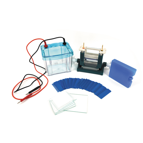 北京六一電泳-DNA電泳常見問(wèn)題分析